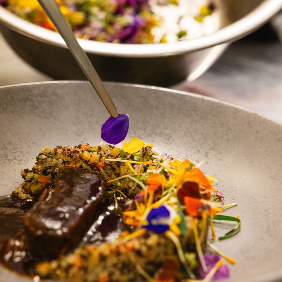 Eine Nahaufnahme eines Gourmetgerichts, das mit einem violetten, essbaren Blütenblatt garniert ist und bunte essbare Blüten, Körner und eine rechteckige Portion Fleisch in dunkler Soße enthält.